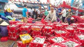 Thuan An Fishing Port in Thua Thien – Hue Province is crowded with sellers and buyers. (Photo: SGGP)