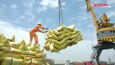 Điểm tin SGGP Online ngày 22-4-2020