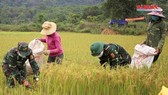 Điểm tin SGGP Online ngày 2-5-2020