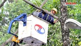 Điểm tin SGGP Online ngày 28-5-2020