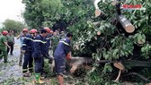 Điểm tin SGGP Online ngày 18-9-2020