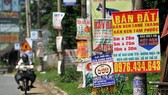 Khó trị cơn sốt đất nền