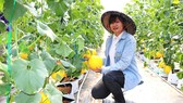 Khởi sắc du lịch cộng đồng