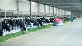 Vinamilk là thương hiệu có giá trị cao nhất Việt Nam năm 2019