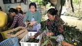 Xúc tiến trái cây vùng miền