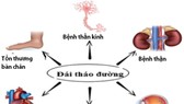 Khắc tinh của tiểu đường
