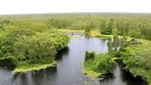 Khuyến khích đầu tư bảo tồn đa dạng sinh học
