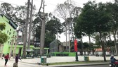 Định hình, tăng tính thẩm mỹ cho hệ thống cây xanh