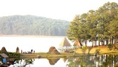A corner of Golden Valley in Da Lat city (Photo: VNA)