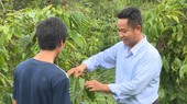 Tiến sĩ Phạm Công Trí hướng dẫn bà con xã Quảng Hoà xử lý sự cố. Ảnh: PHÚC NGUYỄN