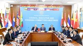 Đại diện Tổng cục TDTT và Uỷ ban Olymic Việt Nam họp trực tuyến với Liên đoàn thể thao Đông Nam Á.