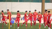Đội tuyển Việt Nam sẵn sàng cho mục tiêu vô địch AFF Cup 2022