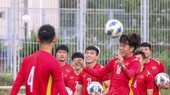 Đội tuyển U23 sẽ có 4 giai đoạn tập trung vào tháng 3