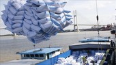 Xuất khẩu gạo dự báo gặp nhiều khó khăn khi hoạt động của các cảng bị hạn chế do dịch Covid-19.