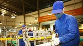 Rất nhiều chính sách khuyến khích hộ kinh doanh chuyển đổi sang mô hình DNNVV.