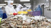 Xuất khẩu tôm tháng 5 bật tăng ở thị trường Trung Quốc