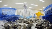 Vì sao xuất khẩu tôm sang Mỹ và Trung Quốc giảm mạnh trong tháng 7