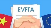 4/10 doanh nghiệp Việt Nam đã từng hưởng lợi từ EVFTA
