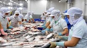 Chủ động bảo hộ nhãn hiệu và chỉ dẫn địa lý cho sản phẩm xuất khẩu tiềm năng