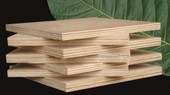 Mỹ gia hạn lần 6 thời gian ban hành kết luận điều tra lẩn tránh thuế với gỗ dán