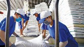 Indonesia sẽ nhập khẩu 2 triệu tấn gạo dự trữ, lo doanh nghiệp Việt lỡ cơ hội