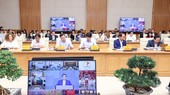 Các đại biểu dự Hội nghị tại điểm cầu Trụ sở Chính phủ. Ảnh: VIẾT CHUNG