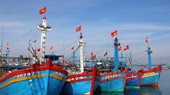 Triển khai Đề án chuyển đổi một số nghề khai thác hải sản ảnh hưởng đến nguồn lợi và môi trường sinh thái.