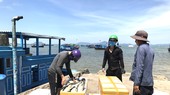 Gỡ 'thẻ vàng' khai thác thủy sản sắp bước vào giai đoạn quyết định