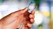 Anti-rabies vaccine at risk of shortage despite increased imports