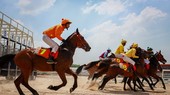 The multi-purpose entertainment complex – horse racing course project is added to Hanoi’s master plan on socio-economic development by 2020, with orientation to 2030(Photo: vnexpress.net)