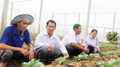 These farmers in Soc Trang province have applied modern agricultural techniques to improve their income (Photo: SGGP)