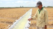 Farmers reserve fresh water in the Mekong Delta (Photo: SGGP)