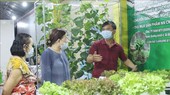 A member of a cooperative introduces agricultural produce (Photo: SGGP)
