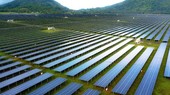 A solar power plant of the Sao Mai group (Photo: SGGP)