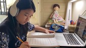 Educators wonder how to bridge learning gap after prolonged e-classes