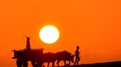 Vietnam’s beauty through lens of international photographers