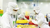 Program OCOP enhances consumption of Vietnamese farm produce
