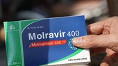 Ministry proposes more open regulations for patients in purchase of Molnupiravir