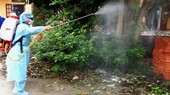 Ho Chi Minh City records one more dengue fever death