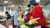 Agricultural products from Vietnam’s Central Highlands to export
