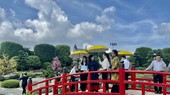 Vice Chairwoman tours tourist attractions in District 12, Hoc Mon district