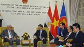 Vietnam, Egypt forge multi-faceted cooperation