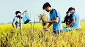 Human resource training crucial to pushing VN into top agricultural producer