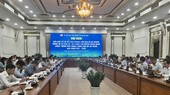 Vice chairman stresses on importance of development of compact city
