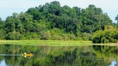 Forum marks International Day of Forests