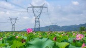 HCMC saves 10.2 million kWh of electricity