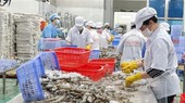 Ample room remains for Vietnamese exports to Africa