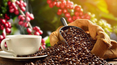 Vietnam’s coffee exports hoped to earn over US$4 billion this year