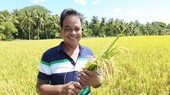 Farmers' Union fosters farmers to become cooperatives directors
