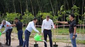 LEGO group grows 50,000 trees at its US$1 billion toy factory in Binh Duong